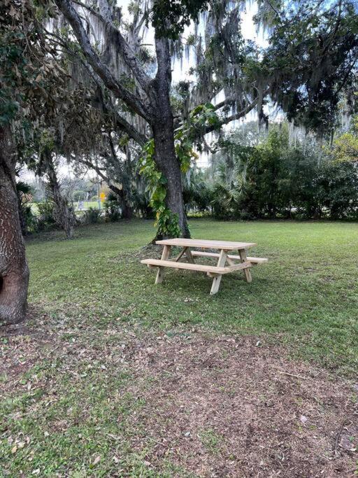 The Sunshine Homestay New Smyrna Beach Exterior foto
